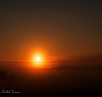 fileadmin/roha/images_galerie/stimmung-Sonne/Sonnenaufgang/SO-AU-HAARM-0032-0657-D-roha-Sonne-Sonnenaufgang-Haarmoos-Nebel.png