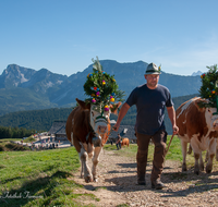 fileadmin/roha/images_galerie/brauchtum/Almabtrieb/Almabtrieb-Stoisser-Alm/BR-ALMAB-STOISS-2021-1435-09-D-roha-Brauchtum-Almabtrieb-Fuikl-Stoisseralm-Teisendorf-Anger.png