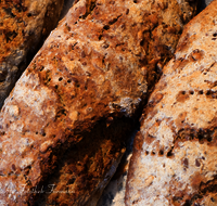 fileadmin/roha/images_galerie/kulinarisch/GAS-BROT-0005-7-D-roha-Brot-Bauernbrot-Backblech.png