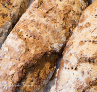 fileadmin/roha/images_galerie/kulinarisch/GAS-BROT-0005-7-D-roha-Brot-Bauernbrot-Backblech.png