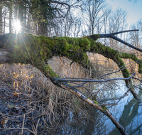 fileadmin/roha/images_galerie/stimmung-Sonne/LANDS-SAAL-SUR-MITTG-0011-D-roha-Landschaft-Saaldorf-Surheim-Mittergraben.png