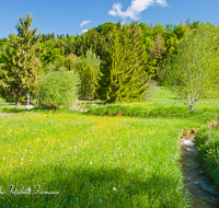 fileadmin/roha/images_galerie/orte_landschaft/Teisendorf/Oberteisendorf/LANDS-TEIS-OB-0001-D-roha-Landschaft-Teisendorf-Oberteisendorf-Bach-Graben-Wasser.png