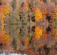 fileadmin/roha/images_galerie/Baum-natur-garten/Baeume/AN-HOE-HERB-0005-D-roha-Anger-Hoeglwoerth-See-Herbst-Wald.png