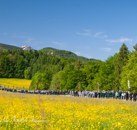 fileadmin/roha/images_galerie/brauchtum/Tracht/Trachtenwallfahrt-Maria-Eck/BR-TRACH-WALL-0022-D-roha-Brauchtum-Trachten-Wallfahrt-Maria-Eck-Weg-Blumenwiese.png