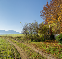 fileadmin/roha/images_galerie/kirche_religion/Weildorf/KKKM-WEIL-NEUL-0001-30-D-roha-Wegkreuz-Weildorf-Teisendorf-Neulend.png