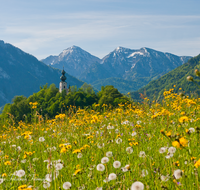 fileadmin/roha/images_galerie/orte_landschaft/Ruhpolding/RUH-ORT-0007-D-roha-Ruhpolding-Kirche-St-Georg-Blumenwiese.png