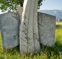 fileadmin/roha/images_galerie/orte_landschaft/Salzburg/Gaisberg-Flughafen-Wals/SA-WALS-BIRN-0007-D-roha-Salzburg-Wals-Birnbaum.png