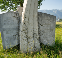 fileadmin/roha/images_galerie/orte_landschaft/Salzburg/Gaisberg-Flughafen-Wals/SA-WALS-BIRN-0007-D-roha-Salzburg-Wals-Birnbaum.png