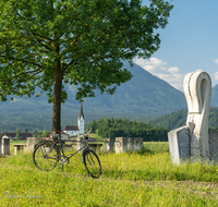 fileadmin/roha/images_galerie/orte_landschaft/Salzburg/Gaisberg-Flughafen-Wals/SA-WALS-BIRN-RA-0002-D-roha-Salzburg-Wals-Birnbaum-Rad.png