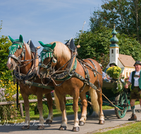 fileadmin/roha/images_galerie/brauchtum/Leonhardiritt/Inzell/BR-PFRI-INZ-0009-D-roha-Brauchtum-Pferdeumritt-Inzell-Michaeliritt-Pferd-Reiter-Wagen-Kirche.png