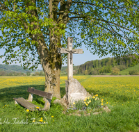 fileadmin/roha/images_galerie/kirche_religion/Oberteisendorf/KKKM-TEIS-OBERT-0009-3-D-roha-Wegkreuz-Oberteisendorf-Fruehling-Knapper.png