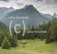 fileadmin/roha/images_galerie/orte_landschaft/Lofer-Kirchental-Wildenthal-Unken/LOFER-WEISSB-GOLD-0002-D-roha-Lofer-Weissbach-Goldener-Zweig-Alm.jpg