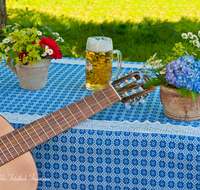 fileadmin/roha/images_galerie/musik/Volksmusik/MU-VO-GIT-0020-D-roha-Musik-Volksmusik-Gitarre-Bier-Wieninger-Biergarten.png