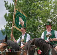 fileadmin/roha/images_galerie/orte_landschaft/Piding/Piding-Feste-Theater-usw/PID-MU-FE-2018-1228-01-D-roha-Piding-Musikfest-Festzug-Standarte-Kaltblut-Pferd.png