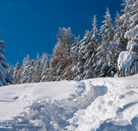 fileadmin/roha/images_galerie/wege/WEGE-WINT-STO-0003-D-roha-Weg-Winter-Stoisseralm-Teisenberg-Teisendorf-Anger-Wald.png