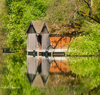 fileadmin/roha/images_galerie/orte_landschaft/Anger/Hoeglwoerth/AN-HOE-FRUEH-0001-D-roha-Anger-Hoeglwoerth-Fruehling-Baum-Spiegelung-Stadel-Bootshuette-See.png