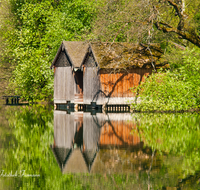 fileadmin/roha/images_galerie/orte_landschaft/Anger/Hoeglwoerth/AN-HOE-FRUEH-0001-D-roha-Anger-Hoeglwoerth-Fruehling-Baum-Spiegelung-Stadel-Bootshuette-See.png