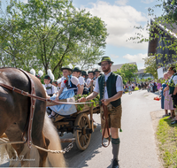 fileadmin/roha/images_galerie/brauchtum/Leonhardiritt/Holzhausen_01/Holzhausen-Ritt-2023/BR-PFRI-HOLZ-2023-1020-22-D-H-roha-Brauchtum-Leonhardiritt-Holzhausen-Teisendorf.png