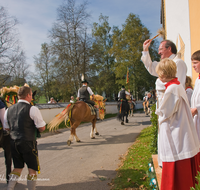 fileadmin/roha/images_galerie/brauchtum/Leonhardiritt/Inzell/BR-PFRI-INZ-0044-D-roha-Brauchtum-Pferdeumritt-Inzell-Michaeliritt-Pferd-Reiter-Pfarrer.png