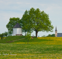 fileadmin/roha/images_galerie/kirche_religion/Petting/KKKM-PETT-0001-D-roha-Kapelle-Petting-Kirche-Blumenwiese.png