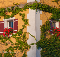 fileadmin/roha/images_galerie/orte_landschaft/Laufen/LANDA-FENST-LAUF-0002-D-roha-Landart-Fenster-Laufen-Stadtturm-Wilder-Wein.png