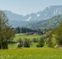 fileadmin/roha/images_galerie/orte_landschaft/Teisendorf/IN-LANDS-Teisendorf/LANDS-TEIS-ALM-0034-D-roha-Landschaft-Teisendorf-Bauernhof-Almeding-Hochstaufen-Zwiesel.png