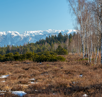 fileadmin/roha/images_galerie/orte_landschaft/Petting/Schoenramer-Moor/PE-SCHOENR-MOOR-0003-10-D-roha-Petting-Schoenramer-Moor-Weg-Fruehling-Untersberg.png