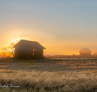 fileadmin/roha/images_galerie/orte_landschaft/Haarmoos/SO-AU-HAARM-0031-0749-02-D-roha-Sonne-Sonnenaufgang-Haarmoos-Nebel-Stadel.png