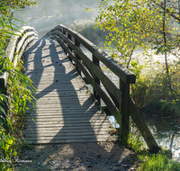 fileadmin/roha/images_galerie/wege/WEGE-HOEGLW-0025-D-roha-Steg-Weg-Hoeglwoerther-See-Herbst-Stimmung.png