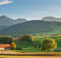 fileadmin/roha/images_galerie/orte_landschaft/Anger/Anger/AN-LANDS-0008-D-roha-Anger-Unterenglhaeng-Hochstaufen-Zwiesel-Mais-Herbst.png