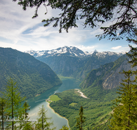 fileadmin/roha/images_galerie/orte_landschaft/Berchtesgaden/Koenigssee/BGD-KUEHROINT-0023-D-roha-Berchtesgaden-Kuehroint-Watzmann-Koenigssee-Hirschau.png