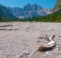 fileadmin/roha/images_galerie/orte_landschaft/Berchtesgaden/Wimbachklamm-Wimbachgries/BGD-WIMB-0022-D-roha-Berchtesgaden-Ramsau-Wimbachgries-Nationalpark-Palfenhorn-Totholz.png