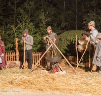 fileadmin/roha/images_galerie/orte_landschaft/Bad_Reichenhall_-_Stallweihnacht/BR-WEIH-STALL-2019-2055-01-D-roha-Brauchtum-Weihnachten-Krippe-Stall-Weihnacht-Bad-Reichenhall.png