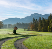 fileadmin/roha/images_galerie/kirche_religion/Teisendorf/KKKM-TEIS-WIM-0060-D-M-roha-Wegkreuz-Teisendorf-Wimmern-Feldkreuz-Herbst.png