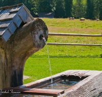 fileadmin/roha/images_galerie/Wasser-Brunnen/LANDA-BRUN-ADLG-0002-D-roha-Landart-Brunnen-Wasser-Inzell-Adlgass-Kuehe.png