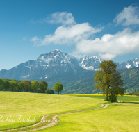 fileadmin/roha/images_galerie/wege/LANDS-ANG-STEINH-0001-00-01-D-roha-Landschaft-Anger-Steinhoegl-Hochstaufen-Zwiesel-Fruehling-Allee.png