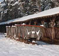 fileadmin/roha/images_galerie/orte_landschaft/Ainring/AINR-MOOR-WIN-0004-D-roha-Ainring-Moor-Winter-Schnee-Torfbahn-Lore-Boggerlbahn.png