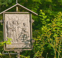 fileadmin/roha/images_galerie/kirche_religion/Ainring-Kreuzweg/KKKM-AINR-KR-01-0007-10-D-roha-Kreuzweg-Ainring-Kirche-Heckenrose.png