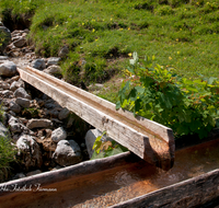 fileadmin/roha/images_galerie/Wasser-Brunnen/LANDA-BRUN-NAT-BIND-0001-D-roha-Landart-Brunnen-Wasser-Bach-Nationalpark-Bindalm-Berchtesgaden.png