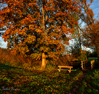 fileadmin/roha/images_galerie/orte_landschaft/Saaldorf/LANDS-SAAL-SILL-GESS-0001-D-roha-Landschaft-Saaldorf-Sillersdorf-Gessenhart-Bruecke.png