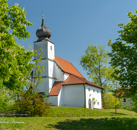 fileadmin/roha/images_galerie/orte_landschaft/Saaldorf/SAAL-STEINBR-0027-D-roha-Saaldorf-Steinbruenning-Kirche-Kastanien-Baum_01.png