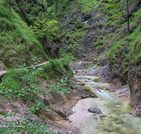 fileadmin/roha/images_galerie/wasser/BGD-ALMB-KLAMM-0001-01-D-roha-Berchtesgaden-Almbachklamm-Untersberg-Wasser-Marktschellenberg.png