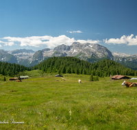 fileadmin/roha/images_galerie/orte_landschaft/Berchtesgaden/Jenner-Schoenau/BGD-JENN-GOTZ-0004-D-roha-Berchtesgaden-Jenner-Gotzen-Alm-Kuh-Steinernes-Meer.png