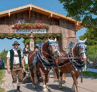 fileadmin/roha/images_galerie/orte_landschaft/Anger/Anger-Trachten-Musik-Fest/BR-FEST-ANG-MUS-TRACH-2018-08-19-1151-01-D-roha-Brauchtum-Fest-Anger-Trachtenverein-Musikkapelle-Festzug.png