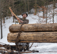 fileadmin/roha/images_galerie/Landwirtschaft/Forst-Holzknecht/HOLZKNE-HAM-PFERD-2019-1216-02-D-M-roha-Holzknecht-Winter-Siegsdorf-Hammer-Winterzug.png