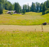 fileadmin/roha/images_galerie/Landwirtschaft/SCHNEILZL-WEISSB-R-ALM-0003-D-roha-Schneizlreuth-Weissbach-Reiteralm-Landwirtschaft-maehen.png