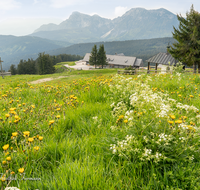 fileadmin/user_upload/TEI-STO-0029-0-01-D-M-roha-Teisendorf-Anger-Stoisseralm-Hochstaufen-Zwiesel-Blumenwiese-Almwiese.png