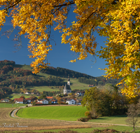 fileadmin/roha/images_galerie/orte_landschaft/Anger/Anger/AN-0030-05-1-D-roha-Anger-Herbst.png