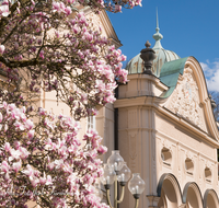 fileadmin/roha/images_galerie/orte_landschaft/Bad_Reichenhall/BAD-REI-KURH-0017-D-roha-Bad-Reichenhall-Altes-Kurhaus-Fassade-Magnolie.png