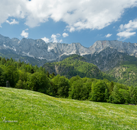 fileadmin/roha/Interessantes-in-Kurzform/ab-4-2021/BGD-MARKT-SCHEL-LAN-0010-D-roha-Berchtesgaden-Marktschellenberg-Untersberg-Blumenwiese.png